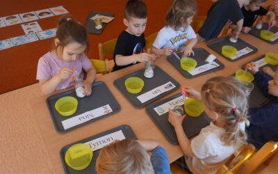 Czego do życia potrzebują rośliny? – kółko badawcze w grupie Pszczółek